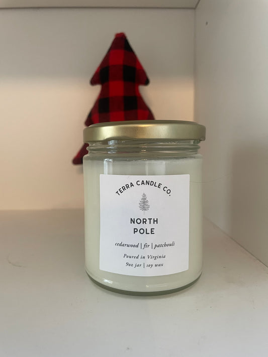 PRE-ORDER- Holiday Scents  9oz Soy Candle